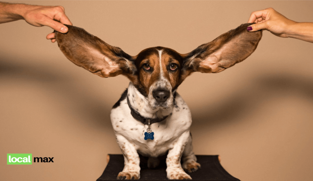 marketing auditivo